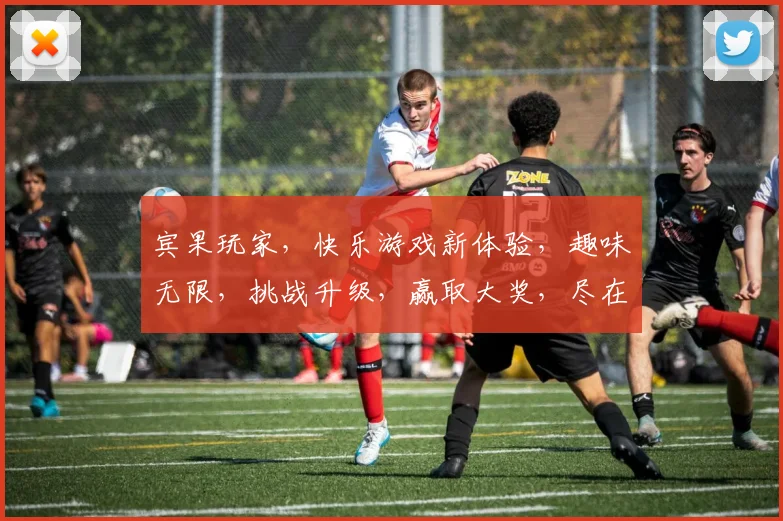 宾果玩家，快乐游戏新体验，趣味无限，挑战升级，赢取大奖，尽在宾果乐园