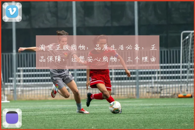 淘宝正版购物，品质生活必备，正品保障，让您安心购物，三个理由让您信赖