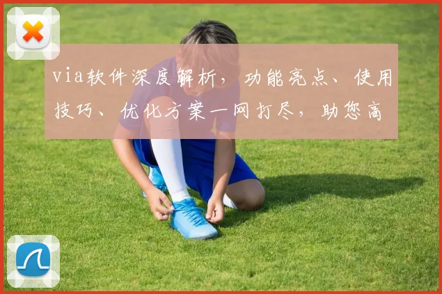 via软件深度解析，功能亮点、使用技巧、优化方案一网打尽，助您高效办公