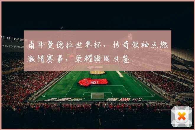 南非曼德拉世界杯，传奇领袖点燃激情赛事，荣耀瞬间共鉴。