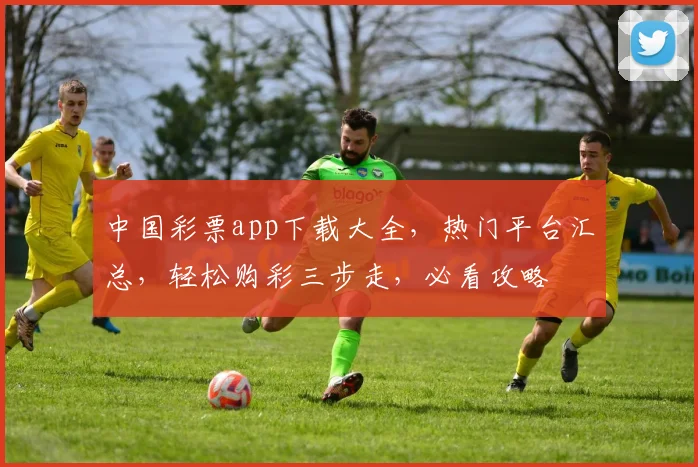 中国彩票app下载大全，热门平台汇总，轻松购彩三步走，必看攻略